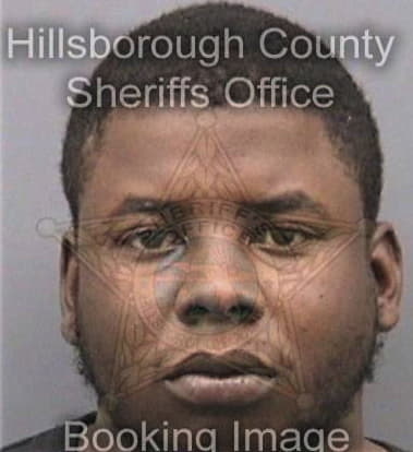 Shavar Jenkins, - Hillsborough County, FL 