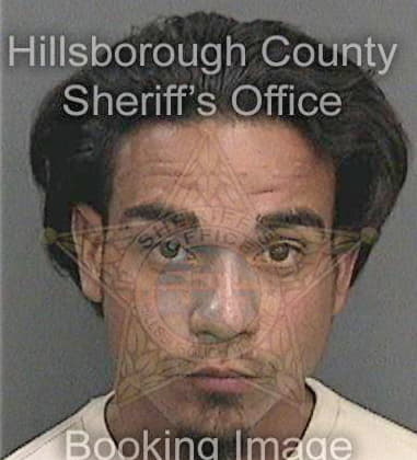 Domingo Mendezruiz - Hillsborough County, FL 