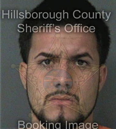 Nicolas Miller - Hillsborough County, FL 
