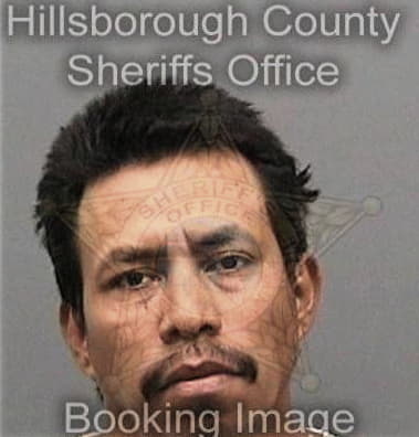 Carlos Palomares, - Hillsborough County, FL 