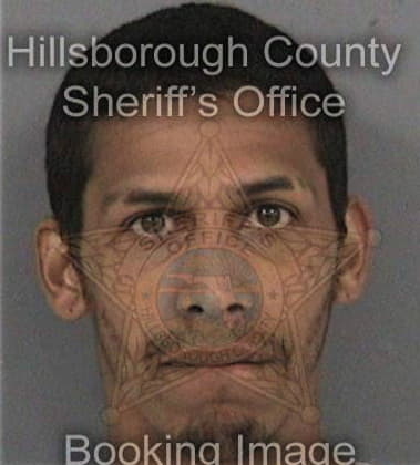 Miguel Reyesreyes, - Hillsborough County, FL 