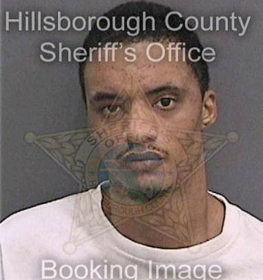 Michael Stark, - Hillsborough County, FL 