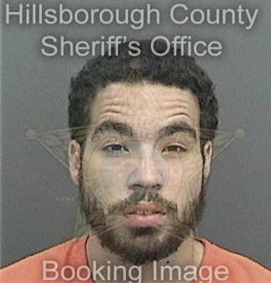 Paul Anderson, - Hillsborough County, FL 