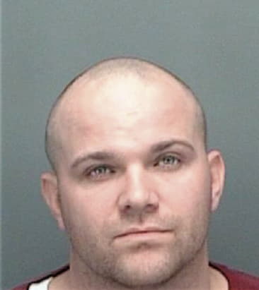 Gilbert Fagnani, - Pinellas County, FL 