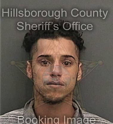 Christopher Fasulo, - Hillsborough County, FL 