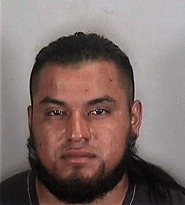 Efrain Hernandez-Vergara, - Manatee County, FL 