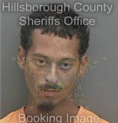 Brian Hursey, - Hillsborough County, FL 