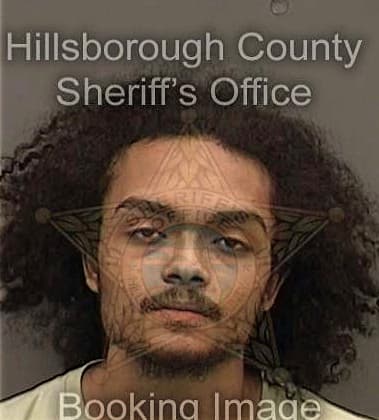 Richard Peacock, - Hillsborough County, FL 