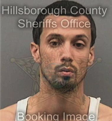 Luis Parra, - Hillsborough County, FL 