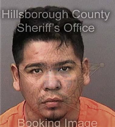 Pedro Ramirez-Lopez, - Hillsborough County, FL 