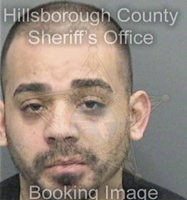 Alexander Sherman, - Hillsborough County, FL 