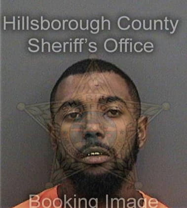 Tristan Tippin, - Hillsborough County, FL 