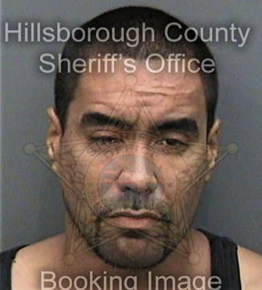 Christopher Willis, - Hillsborough County, FL 