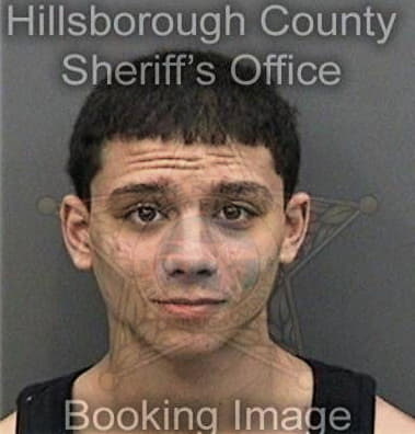 William Bronson, - Hillsborough County, FL 