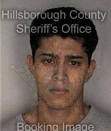 Craig Cole - Hillsborough County, FL 