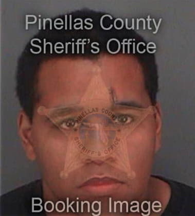 Angel Diaz, - Pinellas County, FL 