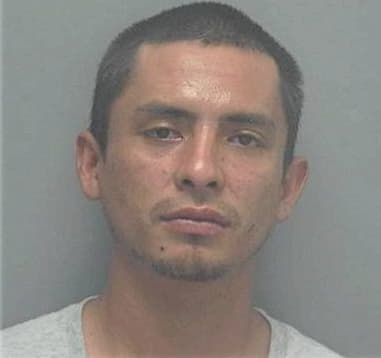 Luis Gomez, - Lee County, FL 