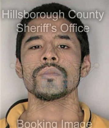 David McQueen - Hillsborough County, FL 