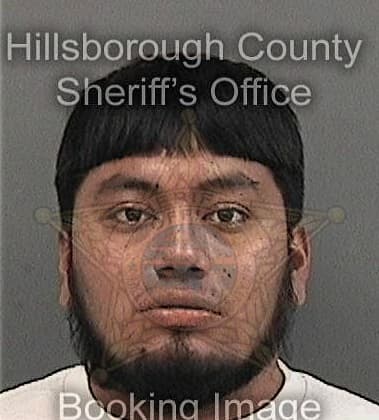 Christian Morales-Walker, - Hillsborough County, FL 