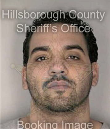 Fernando Rosales, - Hillsborough County, FL 