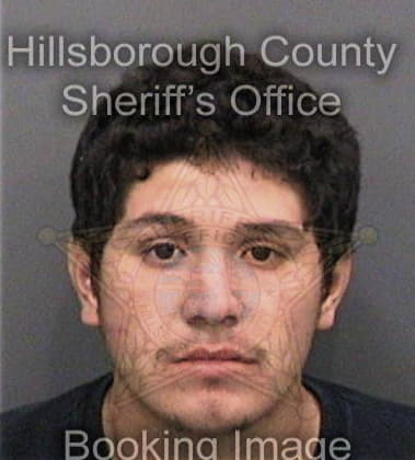 Ray Wisneski, - Hillsborough County, FL 