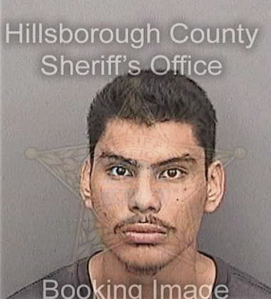 Luis Alvarezoquendo, - Hillsborough County, FL 