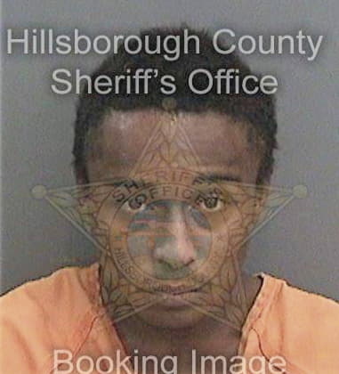 Reginald Ashley, - Hillsborough County, FL 