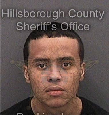 Joseph Martillo, - Hillsborough County, FL 