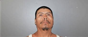 Jose Roman-Alviso, - Hardee County, FL 