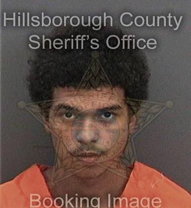 Tija Tolbert, - Hillsborough County, FL 