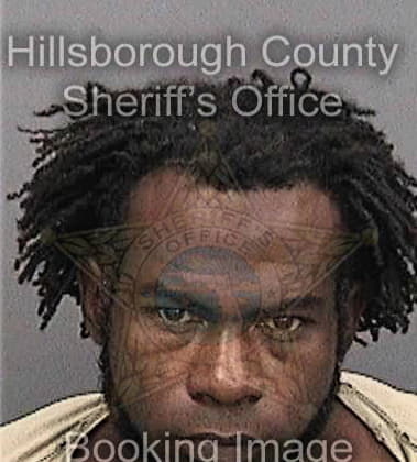 Raul Villanueva, - Hillsborough County, FL 