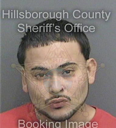 Carlton Williams - Hillsborough County, FL 
