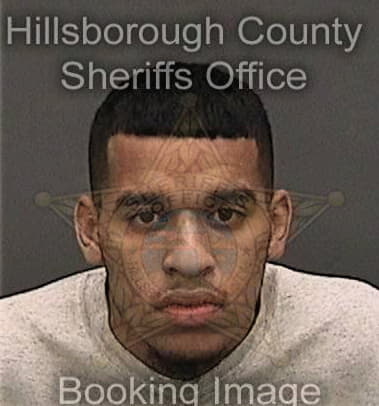 Jeremiel Williams, - Hillsborough County, FL 