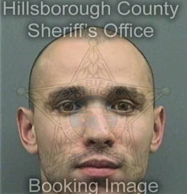 Michael Bogatin - Hillsborough County, FL 