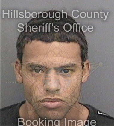 Dwayne Davis, - Hillsborough County, FL 