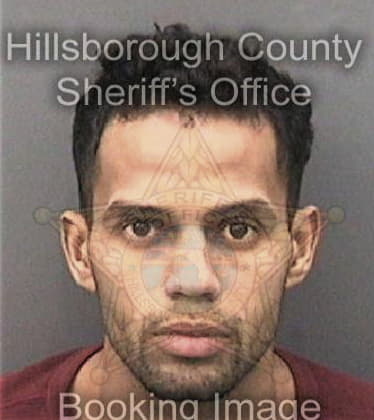 Moises Dishmey, - Hillsborough County, FL 