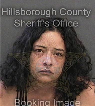 Christine Herman - Hillsborough County, FL 