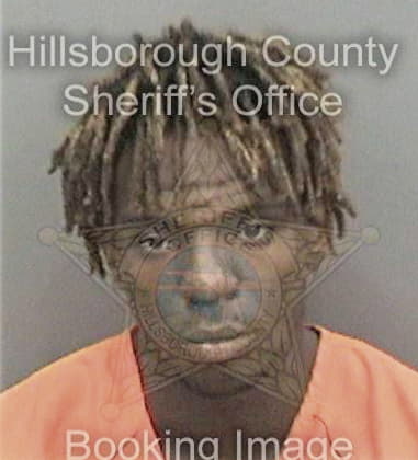 Jamaal Jenkins, - Hillsborough County, FL 