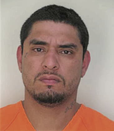 Wilmer Mejia - Hillsborough County, FL 