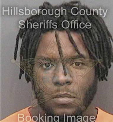 Ryan Mills - Hillsborough County, FL 