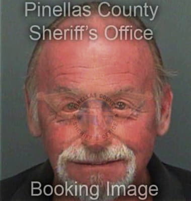 Joshua Simpson - Pinellas County, FL 