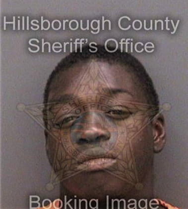 Mikol Vanright, - Hillsborough County, FL 