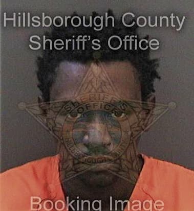 Reginald Davis, - Hillsborough County, FL 