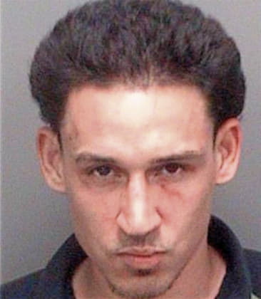 Nelson Garciamella, - Pinellas County, FL 