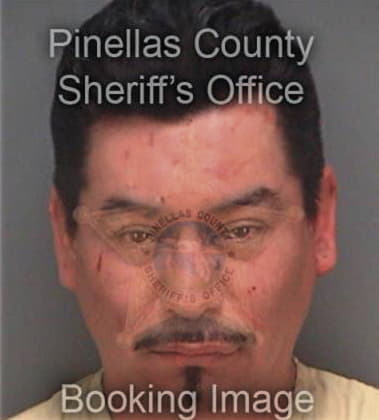 Carl Lineback, - Pinellas County, FL 