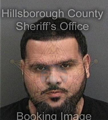 Reinaldo Roblesfernandez, - Hillsborough County, FL 