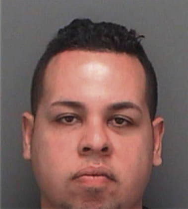 Lusio Sanchezsanchez, - Pinellas County, FL 