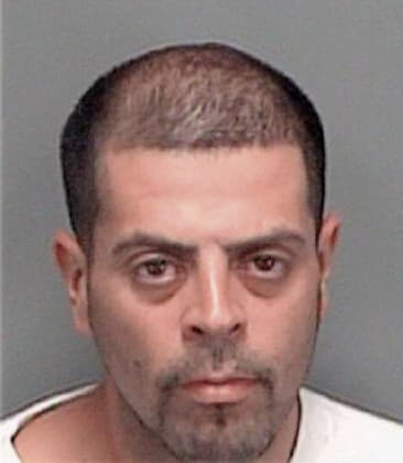 Ismael Baxcajay, - Pinellas County, FL 