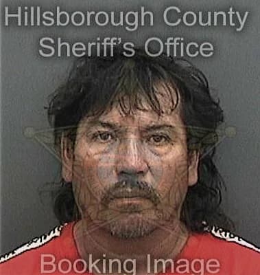 John Johnston, - Hillsborough County, FL 