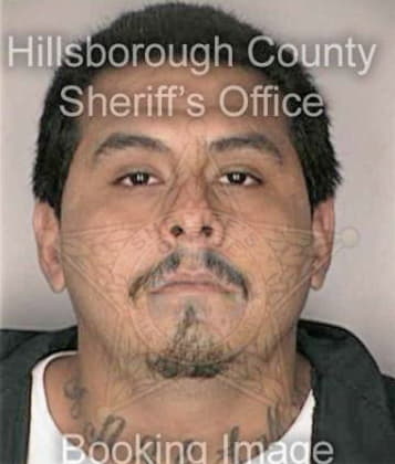 James Medina - Hillsborough County, FL 